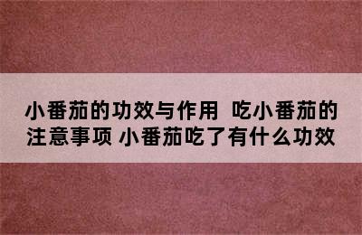 小番茄的功效与作用  吃小番茄的注意事项 小番茄吃了有什么功效